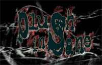 Plush Insane - Berliner Band und Proberaumnachbarn